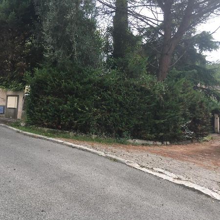 Le Cannet 10Mn Cannes Chambre Independante Etage D'Une Maison Avec Piscine Dış mekan fotoğraf